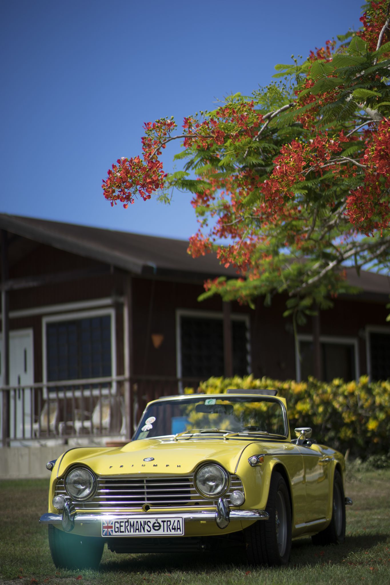 puerto-rico-triumph-moss-motoring